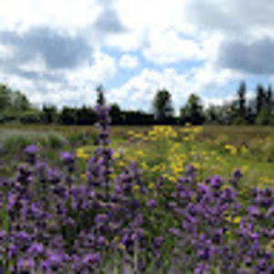 Meet your Posher, Ri